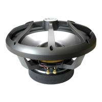 Preview: DLS IRIDIUM 10I