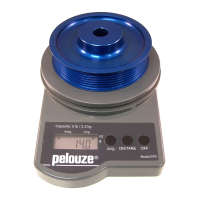 Preview: Digital Electronic Postal Scale SP5