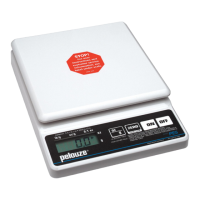 Preview: Electronic Weighing Equipment PE5