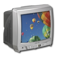 Preview: Dynex DX-R13TV