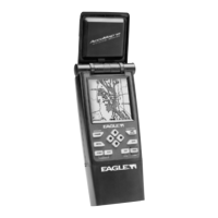 Preview: Eagle 12