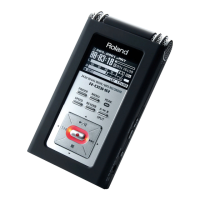 Preview: Edirol R-09HR