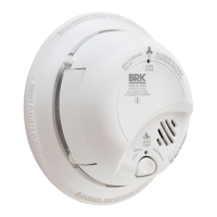 Preview: BRK electronic BRK CO