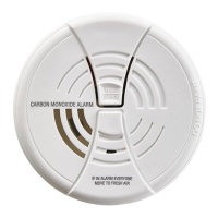 Preview: BRK electronic C O250
