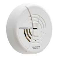 Preview: BRK electronic CO250B