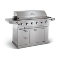 Preview: 51" Stainless Steel Gas Grill