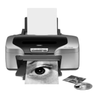 Preview: Epson Stylus Photo R800