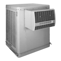 Preview: Champion ESSICK N50W