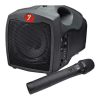 Microphone system Logo