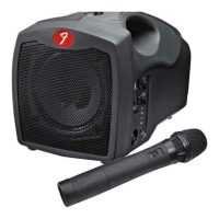 Preview: Fender Passport P10W