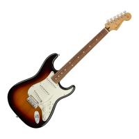 Preview: Fender 62