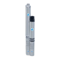 Preview: Submersible Well Pump