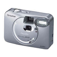 Preview: FujiFilm FinePix A101