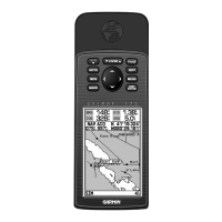 Preview: Garmin GPSMAP 175