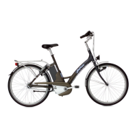 Preview: TwisT LaFree Twist 2002 Motorized Bicycle