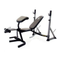 Preview: Gold's Gym GB 1500 GGBE19640