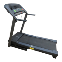 Preview: Gold's Gym GGTL03607.2