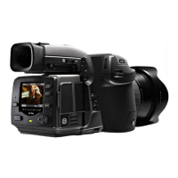 Preview: Hasselblad H3D-39