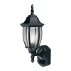Lantern Logo