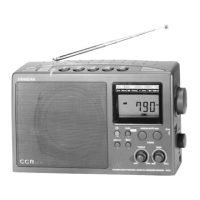 Preview: C. Crane CCRadio