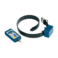 Preview: Digital Advanced Trainers ADV-1000E