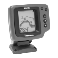 Preview: Humminbird DUAL BEAM 250DX