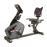 Preview: Recumbent Bike ODYSSEY