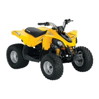 Preview: Can-Am DS 70