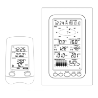 Preview: La Crosse Technology WS-1613-IT