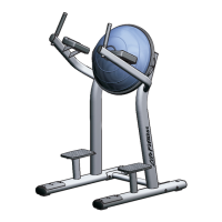 Preview: Life Fitness SLR