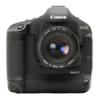 Preview: Canon EOS-1 D Mark IV