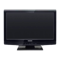 Preview: Magnavox LCD 19MF330B
