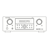 Preview: Marantz SR3001