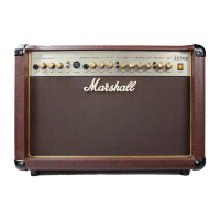Preview: Marshall Amplification as50r