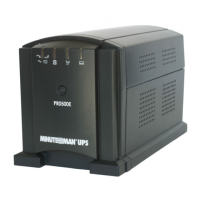 Preview: Minuteman PRO-E