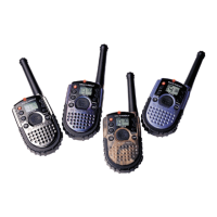 Preview: Motorola T289