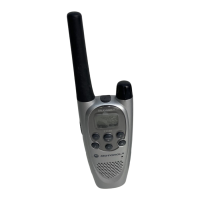 Preview: Motorola T7100