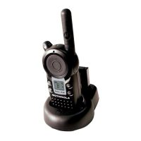 Preview: Motorola VL50