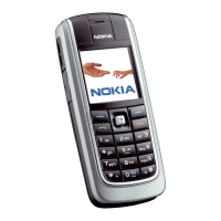 Preview: Nokia 6021