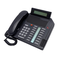 Preview: Nortel Meridian M2008