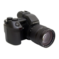 Preview: Olympus CAMEDIA E 10