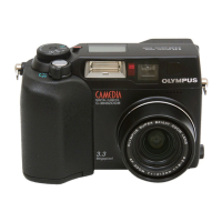 Preview: Olympus Camedia C-3040Zoom