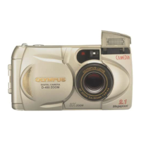 Preview: Olympus D-490ZOOM