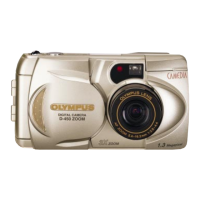 Preview: Olympus D-450 Zoom