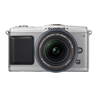 Preview: Olympus E-P1