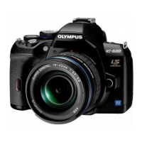Preview: Olympus E-600