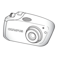 Preview: Stylus Verve m-mini digital