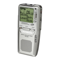 Preview: Olympus DS-3300