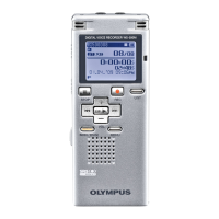 Preview: Olympus WS-500M