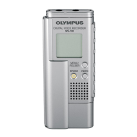 Preview: DIGITAL VOICE RECORDER WS-100